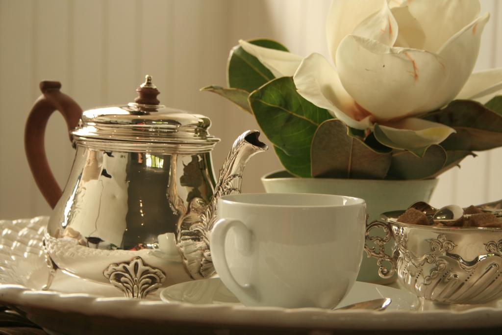 Torburnlea Homestead Luxury Accommodation ネルスプロイト エクステリア 写真