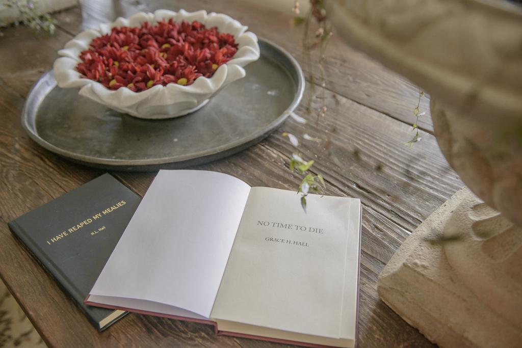 Torburnlea Homestead Luxury Accommodation ネルスプロイト エクステリア 写真