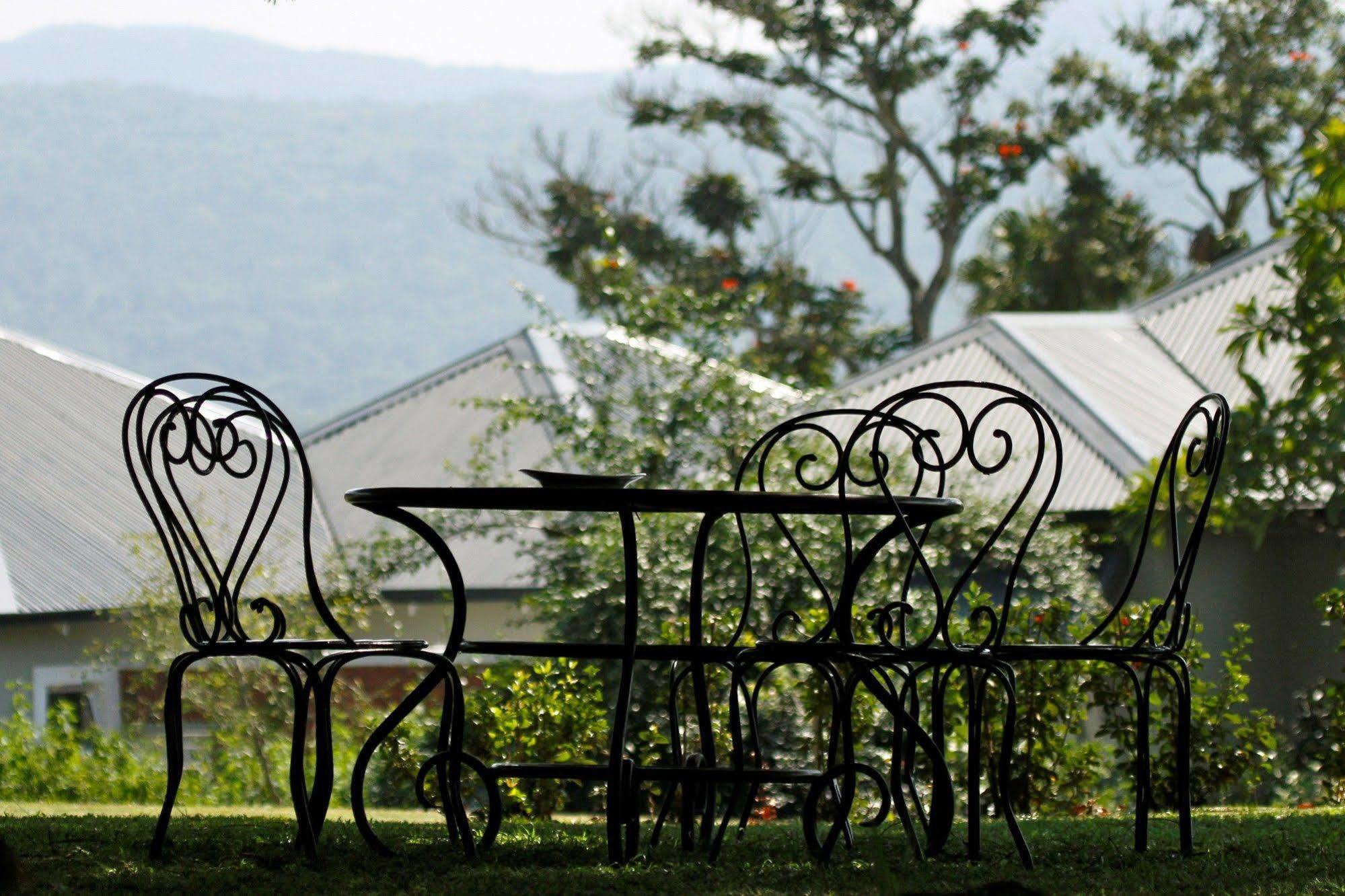 Torburnlea Homestead Luxury Accommodation ネルスプロイト エクステリア 写真